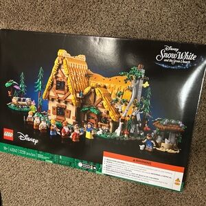 LEGO Disney Set with Black and Red Box
